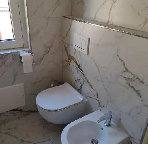 The Running - Olmo Daire