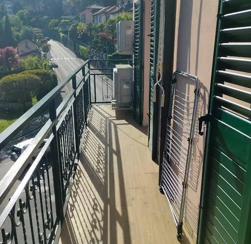 Daire The Running - Olmo