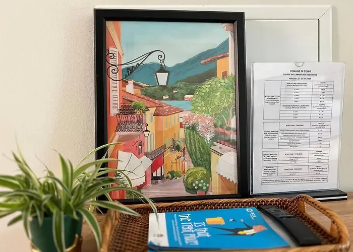 The Running - Olmo Como